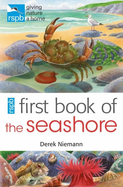 RSPB First Book Of The Seashore, Paperback / softback Book
