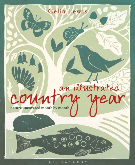 An Illustrated Country Year : Nature Uncovered Month by Month, Hardback Book