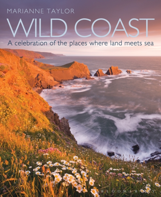 Wild Coast : An Exploration of the Places Where Land Meets Sea, Hardback Book
