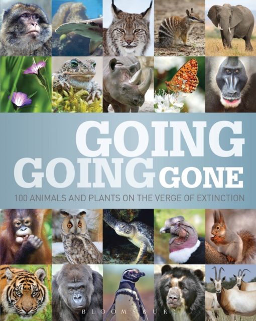 Going, Going, Gone : 100 animals and plants on the verge of extinction, EPUB eBook