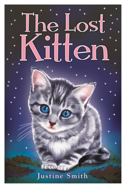 The Lost Kitten, Paperback Book