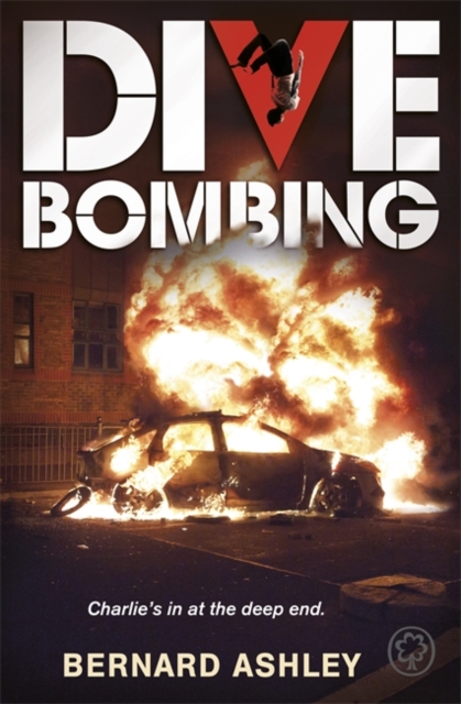 Dive Bombing, Paperback Book