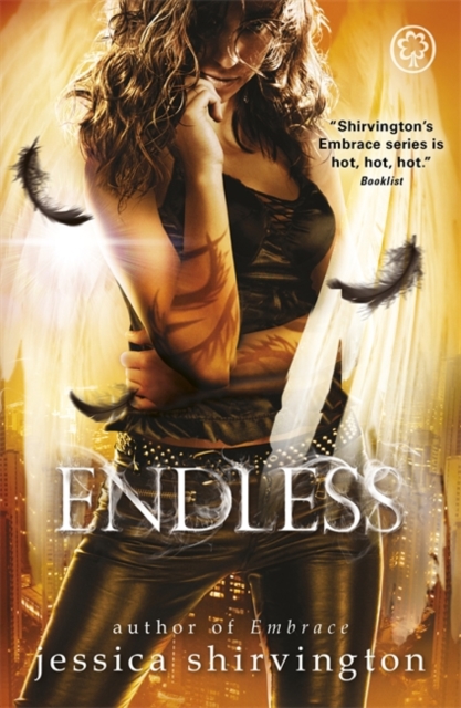 Embrace: Endless : Book 4, Paperback Book