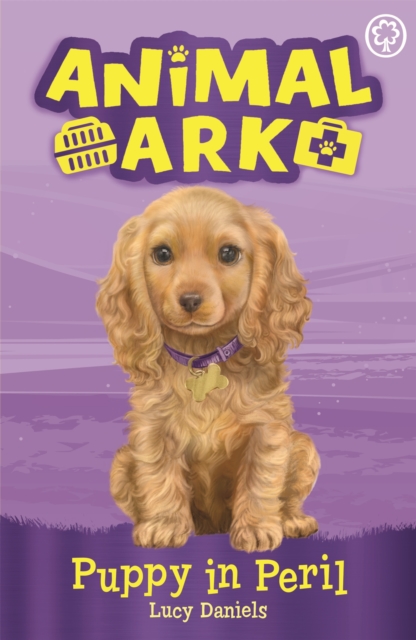 Animal Ark, New 4: Puppy in Peril : Book 4, Paperback / softback Book