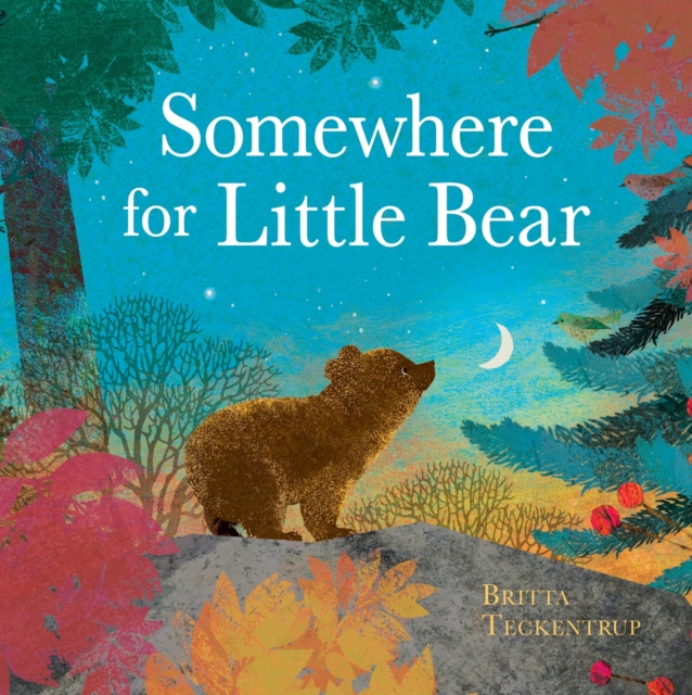 Somewhere for Little Bear, Hardback Book