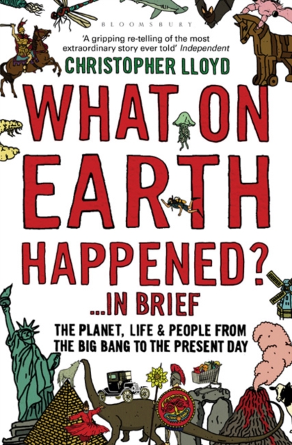 What on Earth Happened?... in Brief : The Planet, Life and People from the Big Bang to the Present Day, Paperback / softback Book