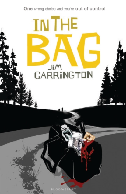In the Bag, Paperback Book