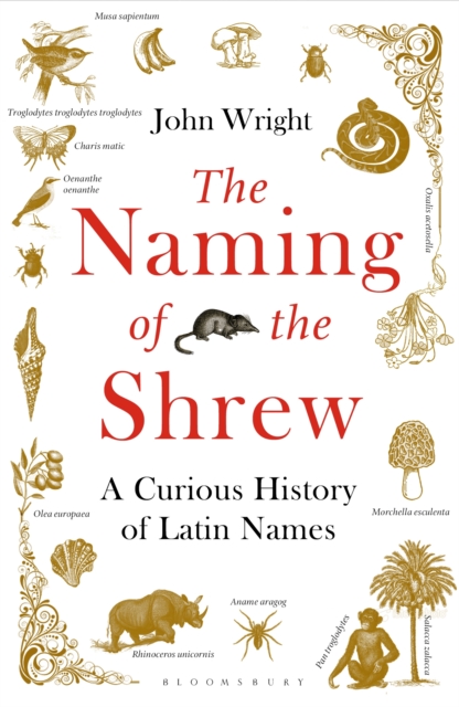 The Naming of the Shrew : A Curious History of Latin Names, EPUB eBook