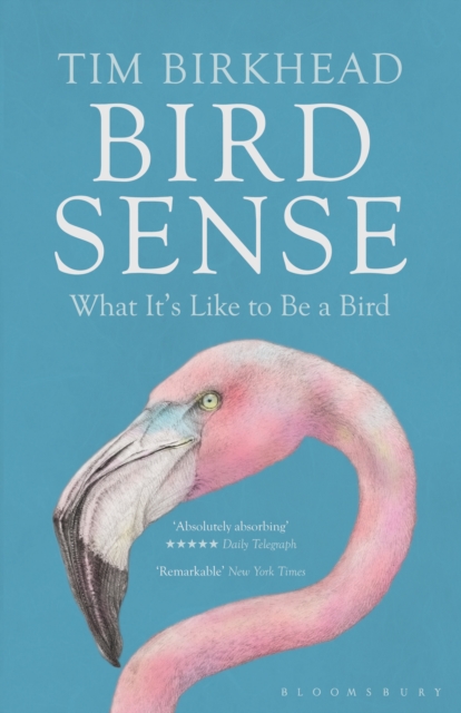 Bird Sense : What it's Like to be a Bird, EPUB eBook