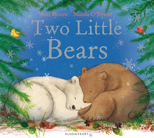 Two Little Bears, Hardback Book