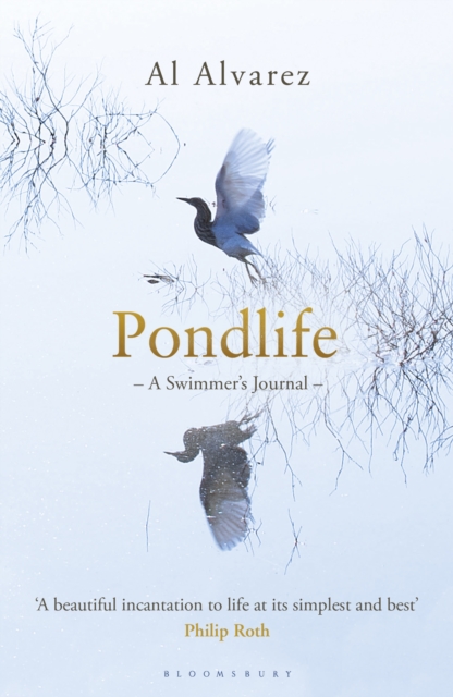 Pondlife : A Swimmer's Journal, EPUB eBook