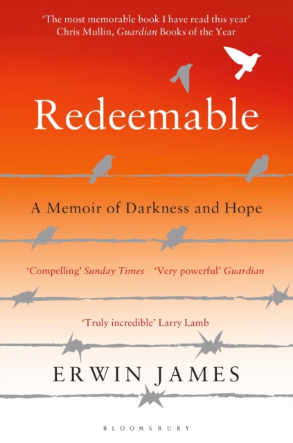 Redeemable : A Memoir of Darkness and Hope, Paperback / softback Book