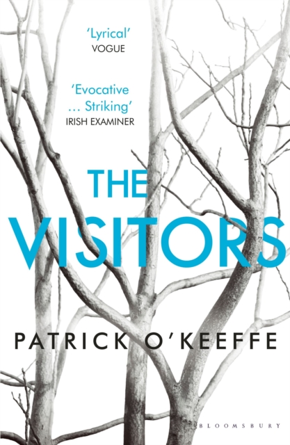 The Visitors, Paperback / softback Book