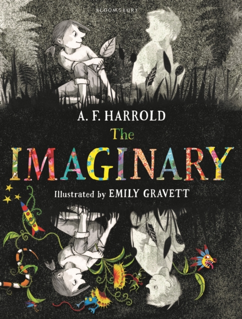 The Imaginary, Hardback Book