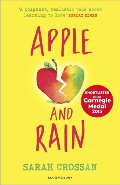 Apple and Rain, Hardback Book