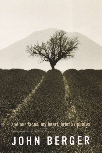 And Our Faces, My Heart, Brief As Photos, EPUB eBook