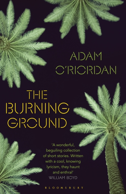 The Burning Ground, Paperback / softback Book