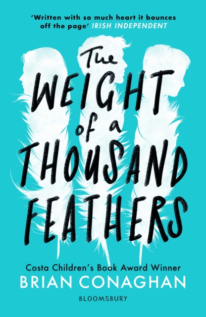 The Weight of a Thousand Feathers, Paperback / softback Book