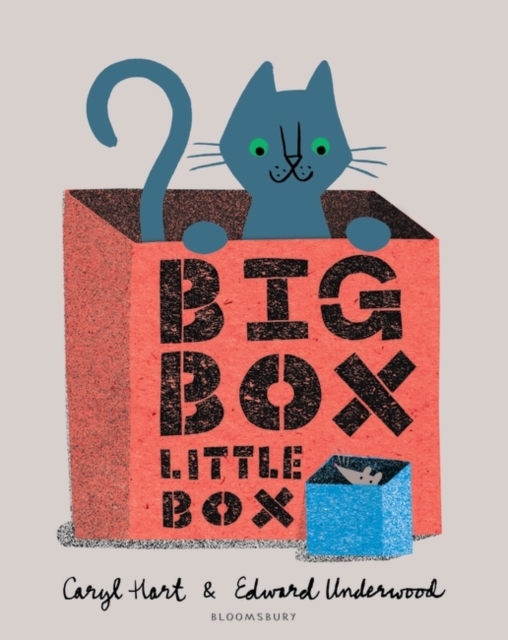 Big Box Little Box, Paperback / softback Book