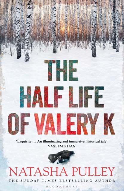 The Half Life of Valery K, Hardback Book
