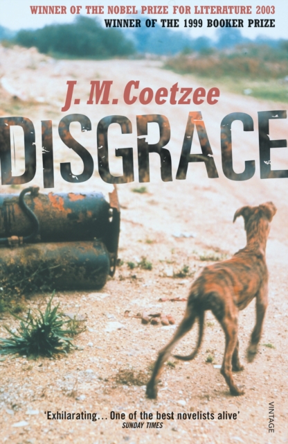 Disgrace : A BBC Radio 4 Good Read, EPUB eBook