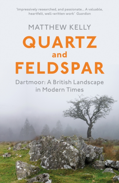 Quartz and Feldspar : Dartmoor - A British Landscape in Modern Times, EPUB eBook