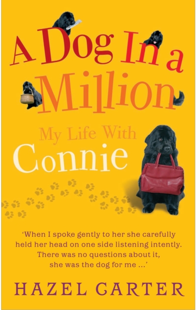 A Dog in a Million : My Life with Connie, EPUB eBook