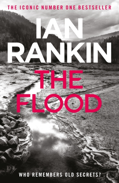 The Flood : From the iconic #1 bestselling author of A SONG FOR THE DARK TIMES, EPUB eBook