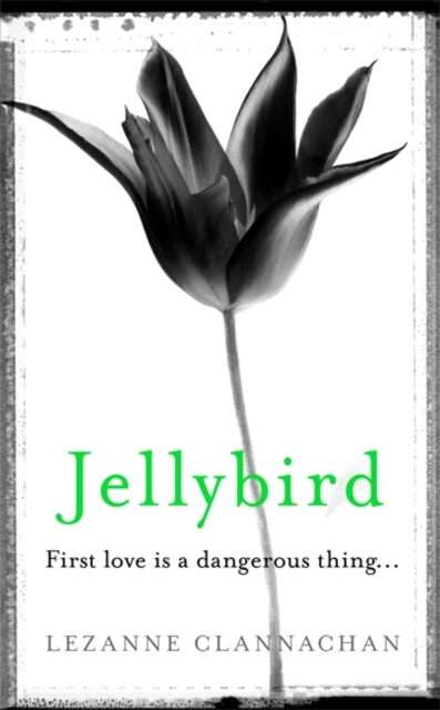 Jellybird, Hardback Book