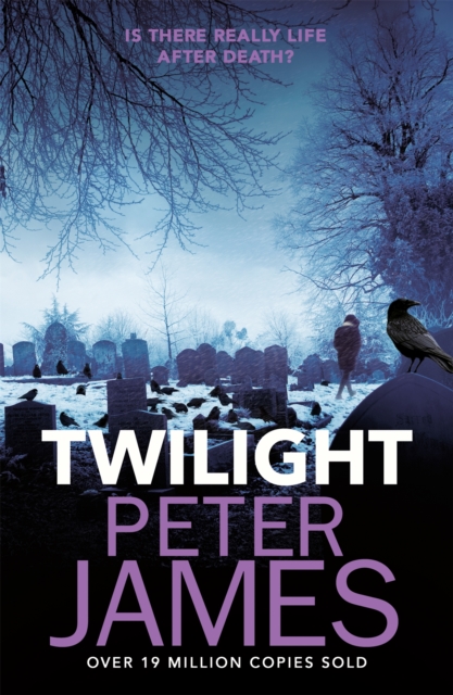 Twilight, Paperback / softback Book