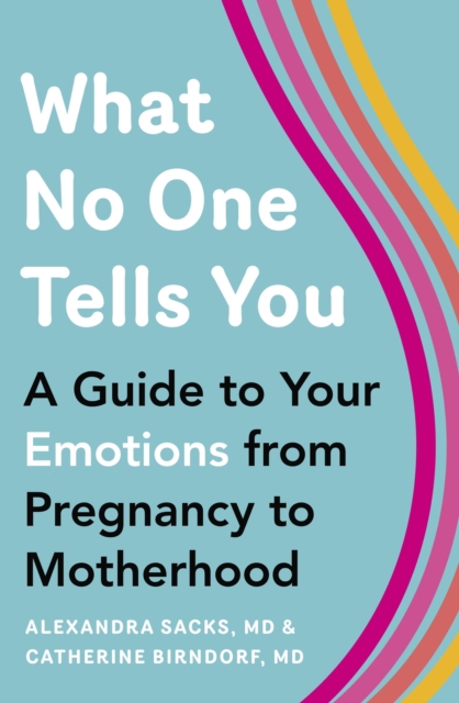 What No One Tells You : A Guide to Your Emotions from Pregnancy to Motherhood, EPUB eBook