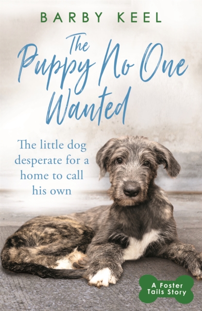 The Puppy No One Wanted : The young dog desperate for a home to call his own, Paperback / softback Book