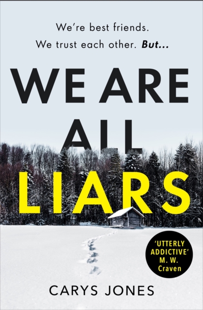 We Are All Liars : The 'utterly addictive' winter thriller with twists you won't see coming, Paperback / softback Book
