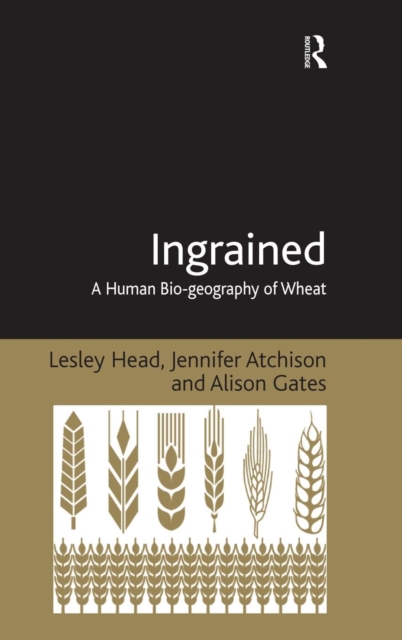 Ingrained : A Human Bio-geography of Wheat, Hardback Book