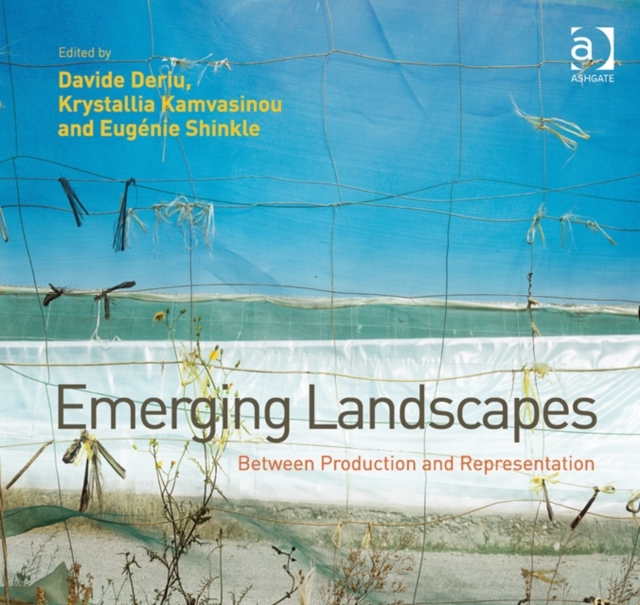 Emerging Landscapes : Between Production and Representation, Hardback Book