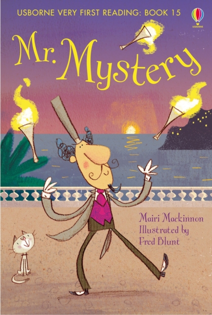Mr Mystery, Hardback Book