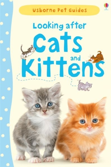Looking after Cats and Kittens, Hardback Book