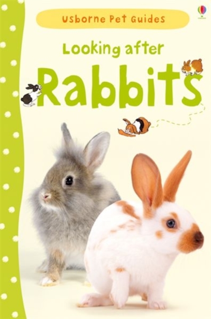 Looking after Rabbits, Hardback Book