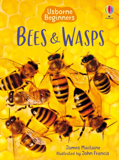 Bees and Wasps, Hardback Book