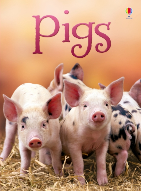 Pigs, Hardback Book