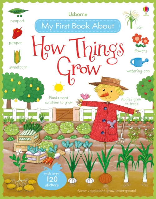 My First Book About How Things Grow, Paperback / softback Book