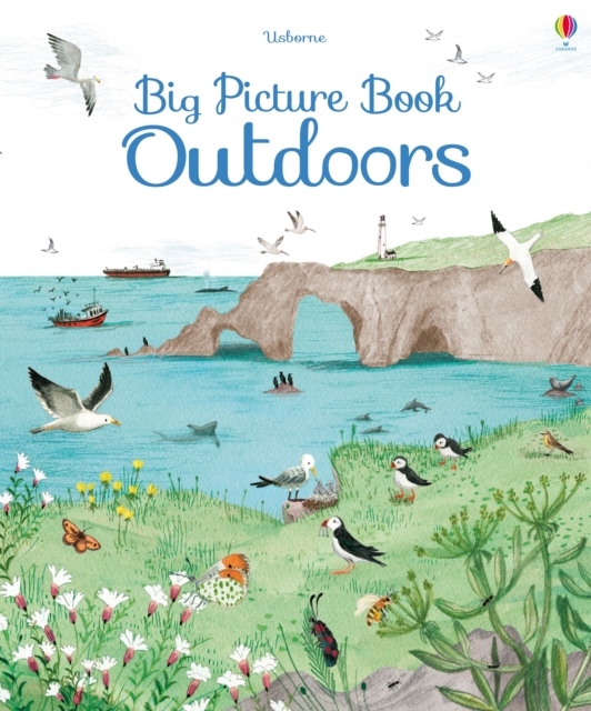 Big Picture Book Outdoors, Hardback Book