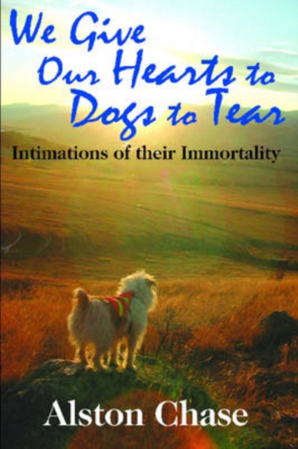 We Give Our Hearts to Dogs to Tear : Intimations of Their Immortality, Hardback Book