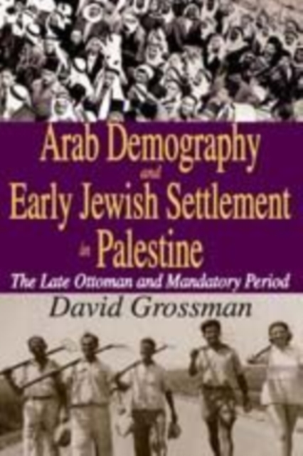 Rural Arab Demography and Early Jewish Settlement in Palestine : Distribution and Population Density During the Late Ottoman and Early Mandate Periods, Hardback Book