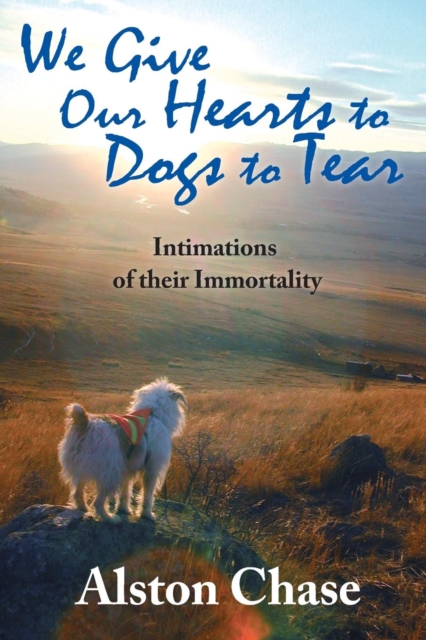 We Give Our Hearts to Dogs to Tear : Intimations of Their Immortality, Paperback / softback Book