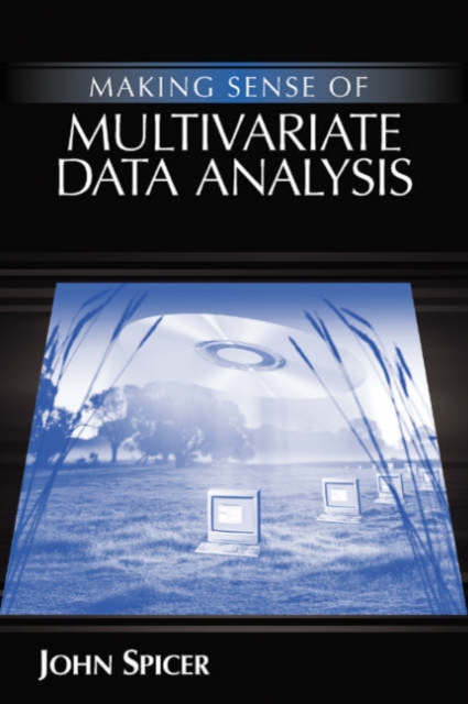 Making Sense of Multivariate Data Analysis : An Intuitive Approach, Paperback / softback Book