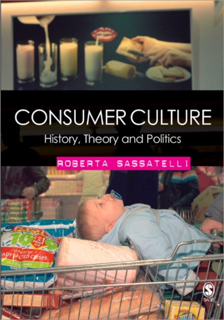 Consumer Culture : History, Theory and Politics, Paperback / softback Book