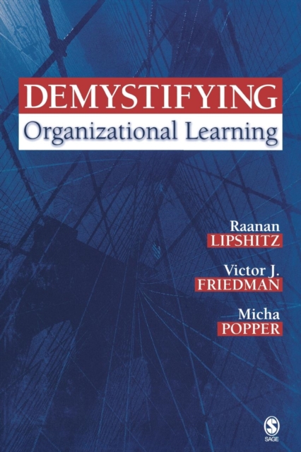 Demystifying Organizational Learning, Paperback / softback Book