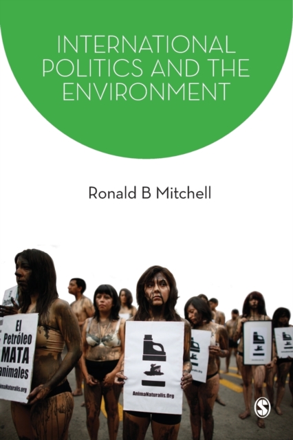International Politics and the Environment, Paperback / softback Book