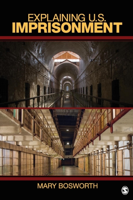 Explaining U.S. Imprisonment, Paperback / softback Book